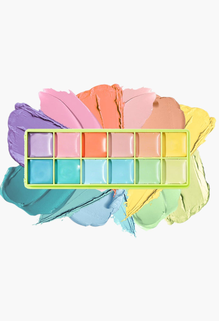 Colour Case Cosmetic Paint Palette