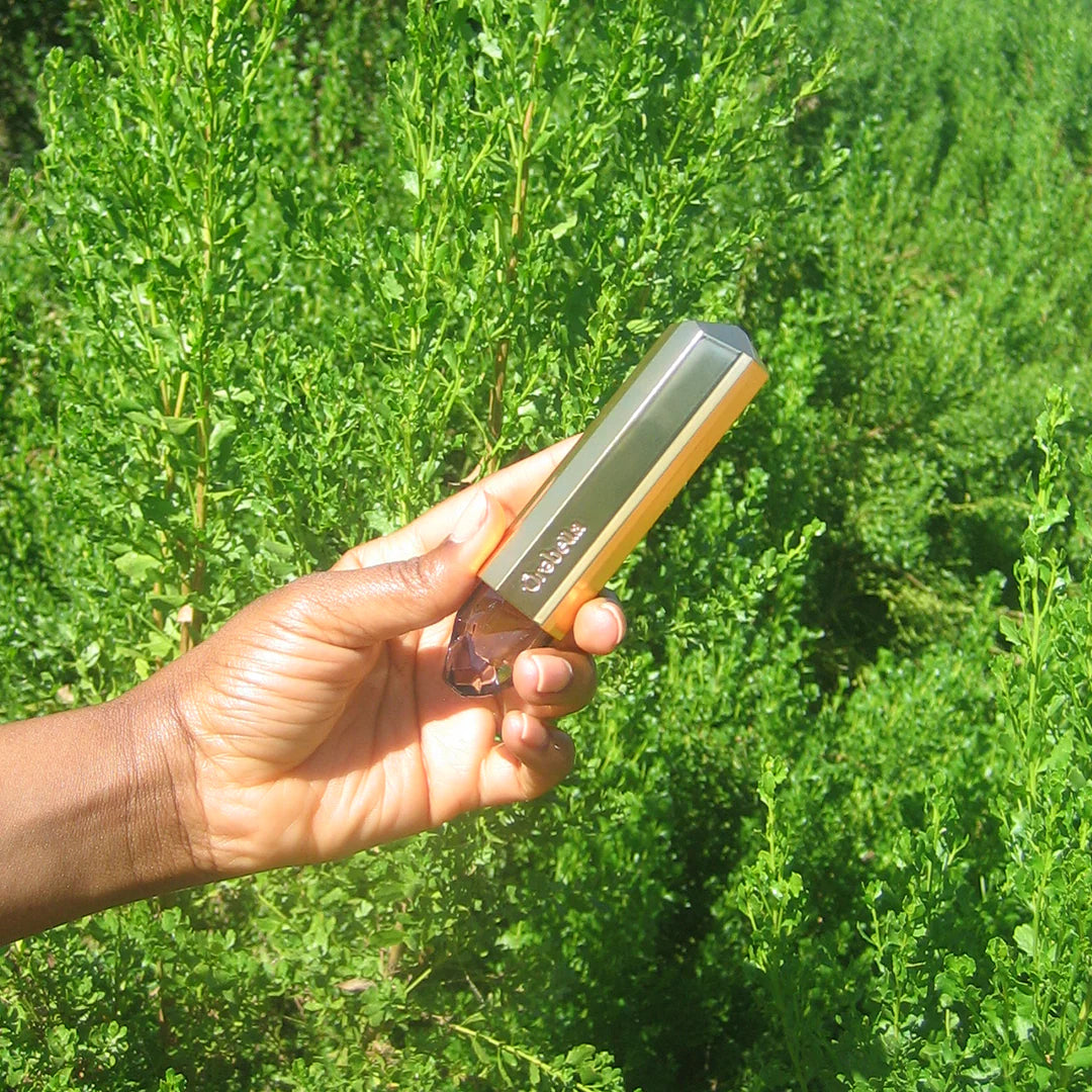 Travel Case For 10ml Parfums - GLAM MODA