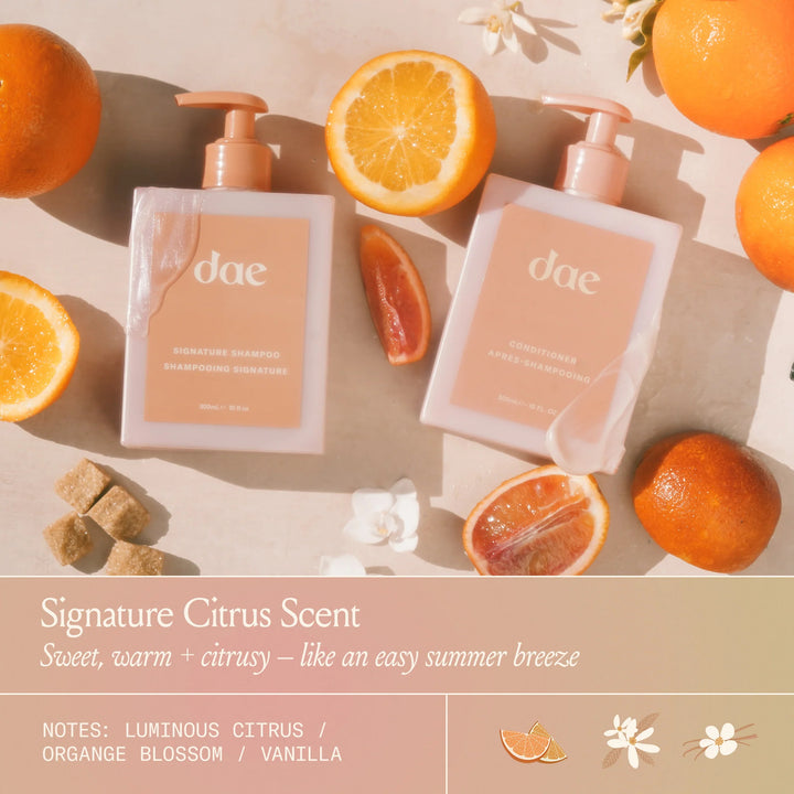 Tressed to Chill Essential Hair Trio - GLAM MODA