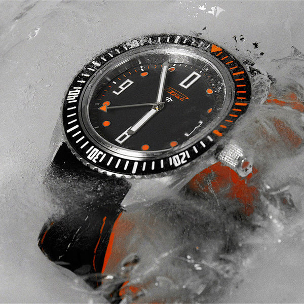 Amphibia 0252