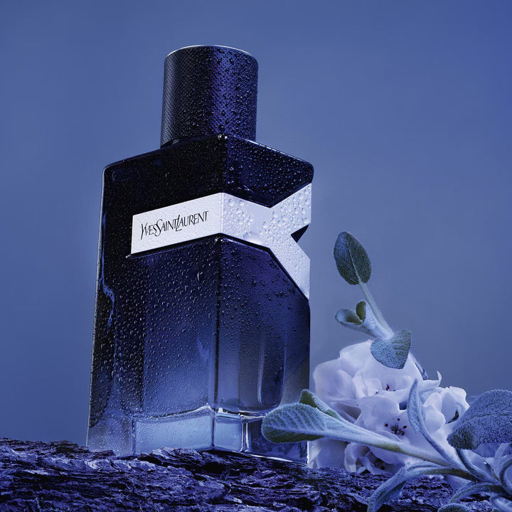 Y - Eau De Parfum - GLAM MODA