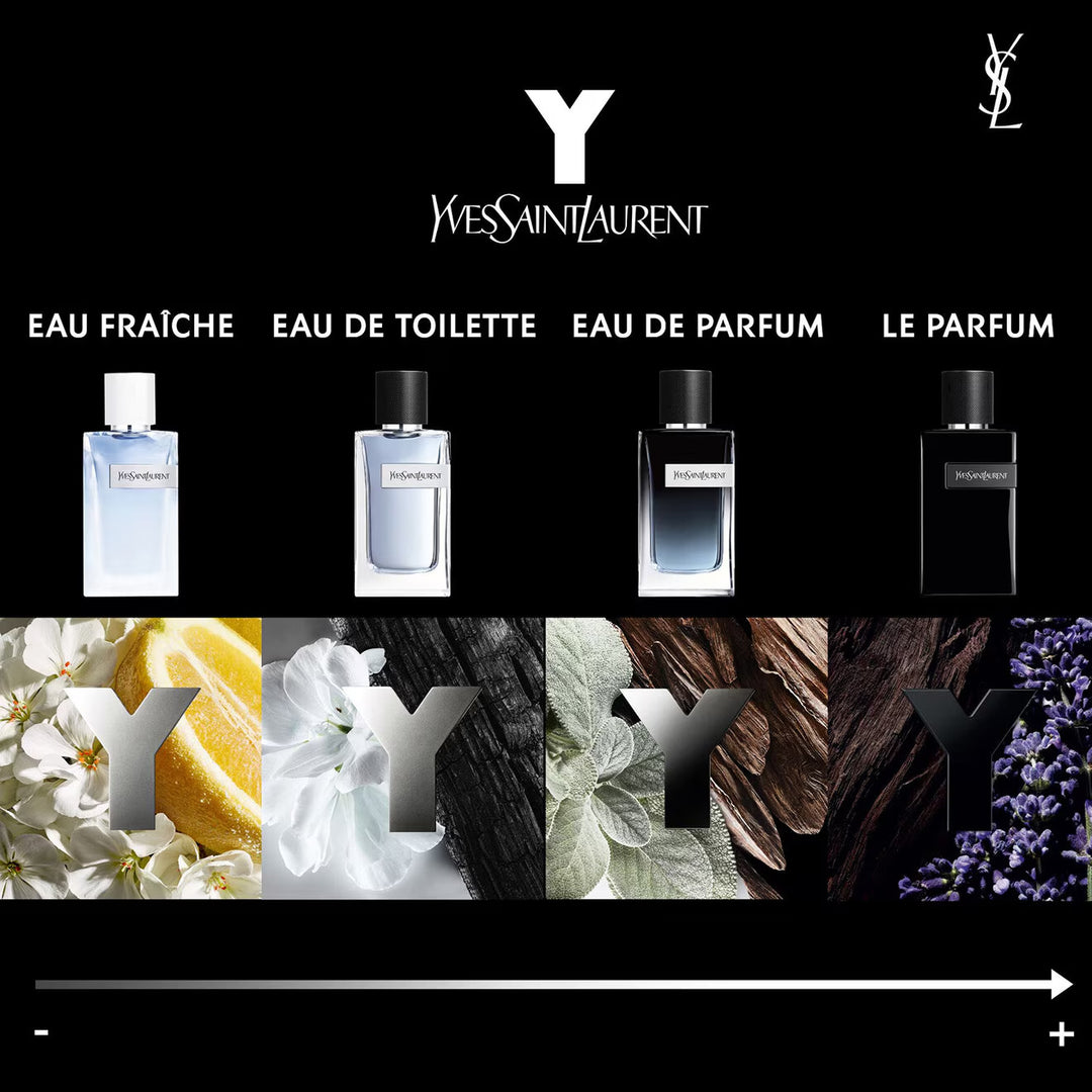 Y - Eau De Parfum - GLAM MODA