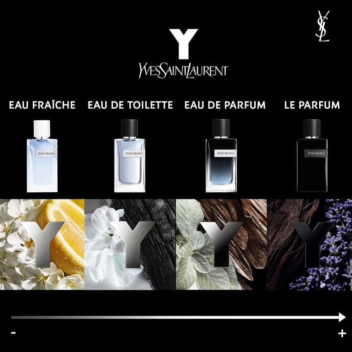 Y - Eau De Parfum - GLAM MODA