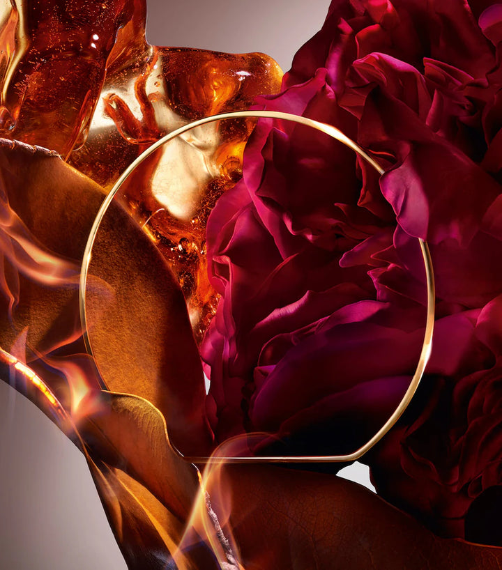 Absolue I Flamed A Rose Eau de Parfum - GLAM MODA
