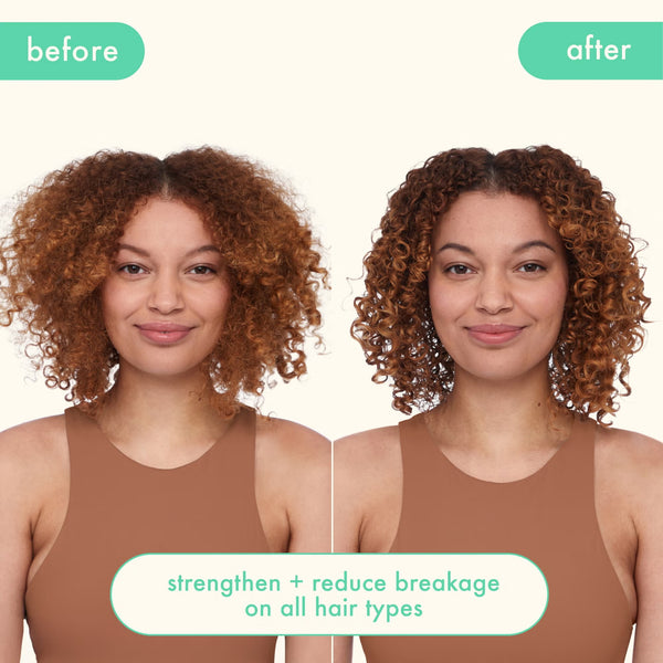 Mane Menders Strength Repair Wash + Care Set