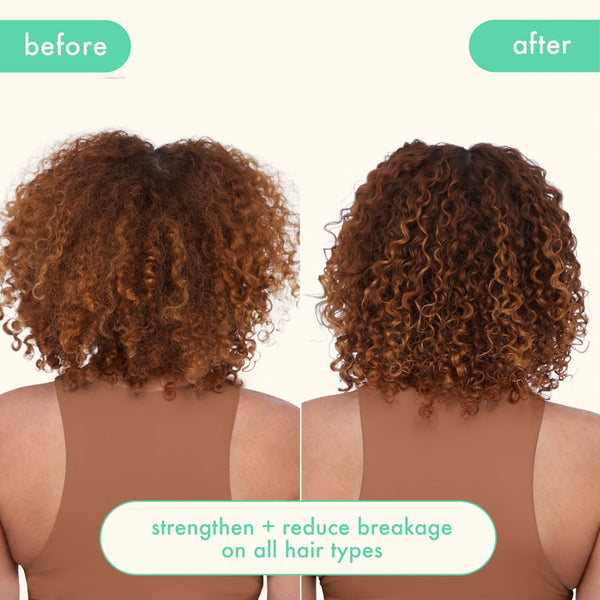 Mane Menders Strength Repair Wash + Care Set