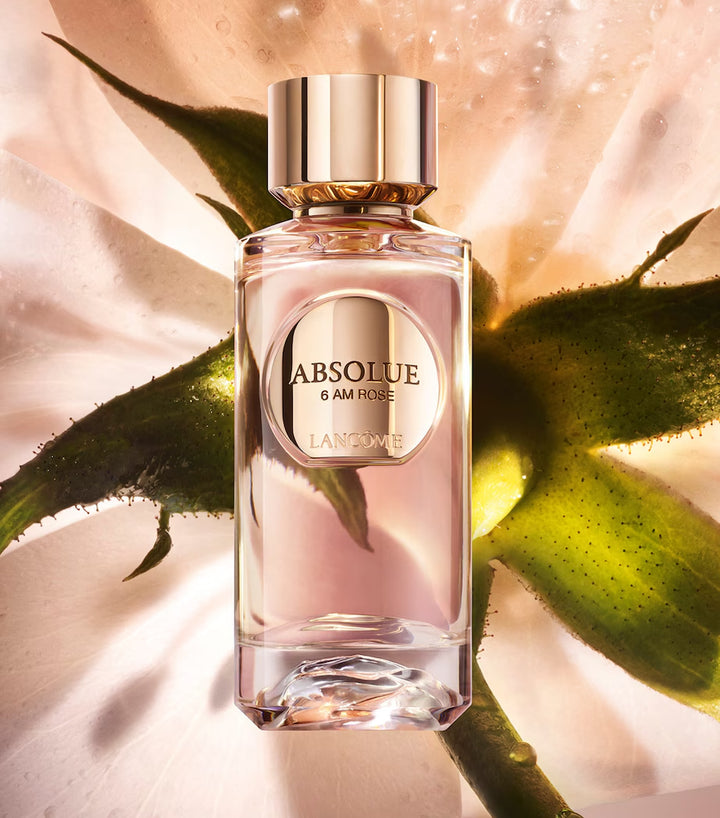 Absolue 6AM Rose Eau de Parfum - GLAM MODA