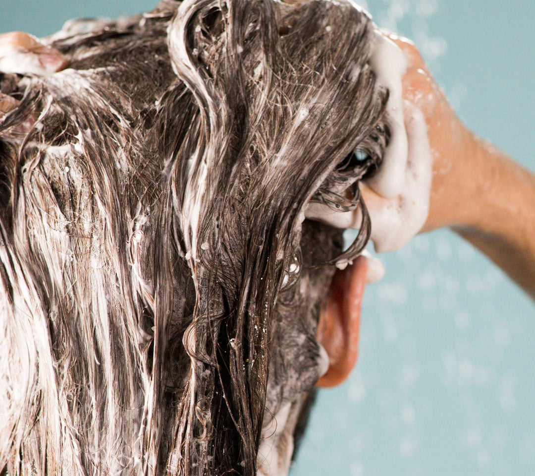 Big – Shampoo Volume And Shine For Flat Hair - GLAM MODA