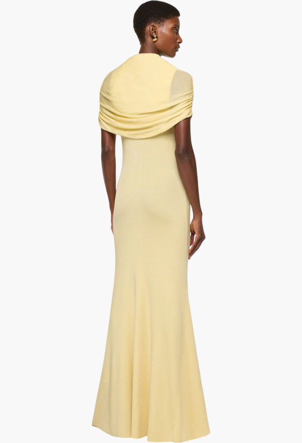 Draped Shawl Viscose Knit Dress
