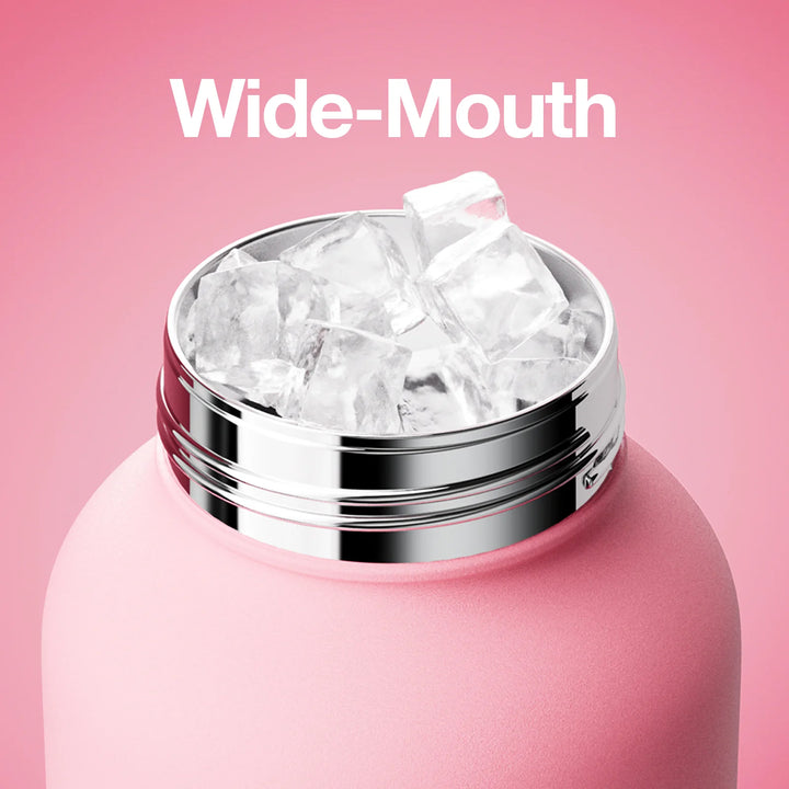 LinLin Kettle (New Pink) - GLAM MODA