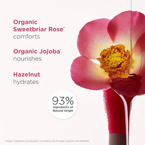 Lip Comfort Hydrating Oil Set - GLAM MODA