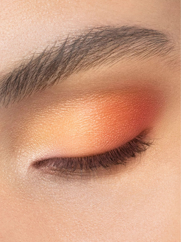 Diorshow 5 Couleurs Limited Edition Eyeshadow Palette