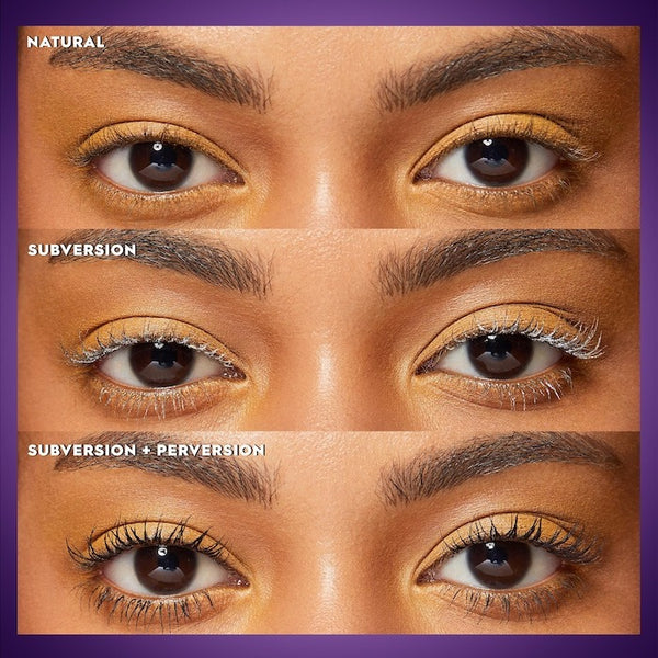 Subversion Lash Primer