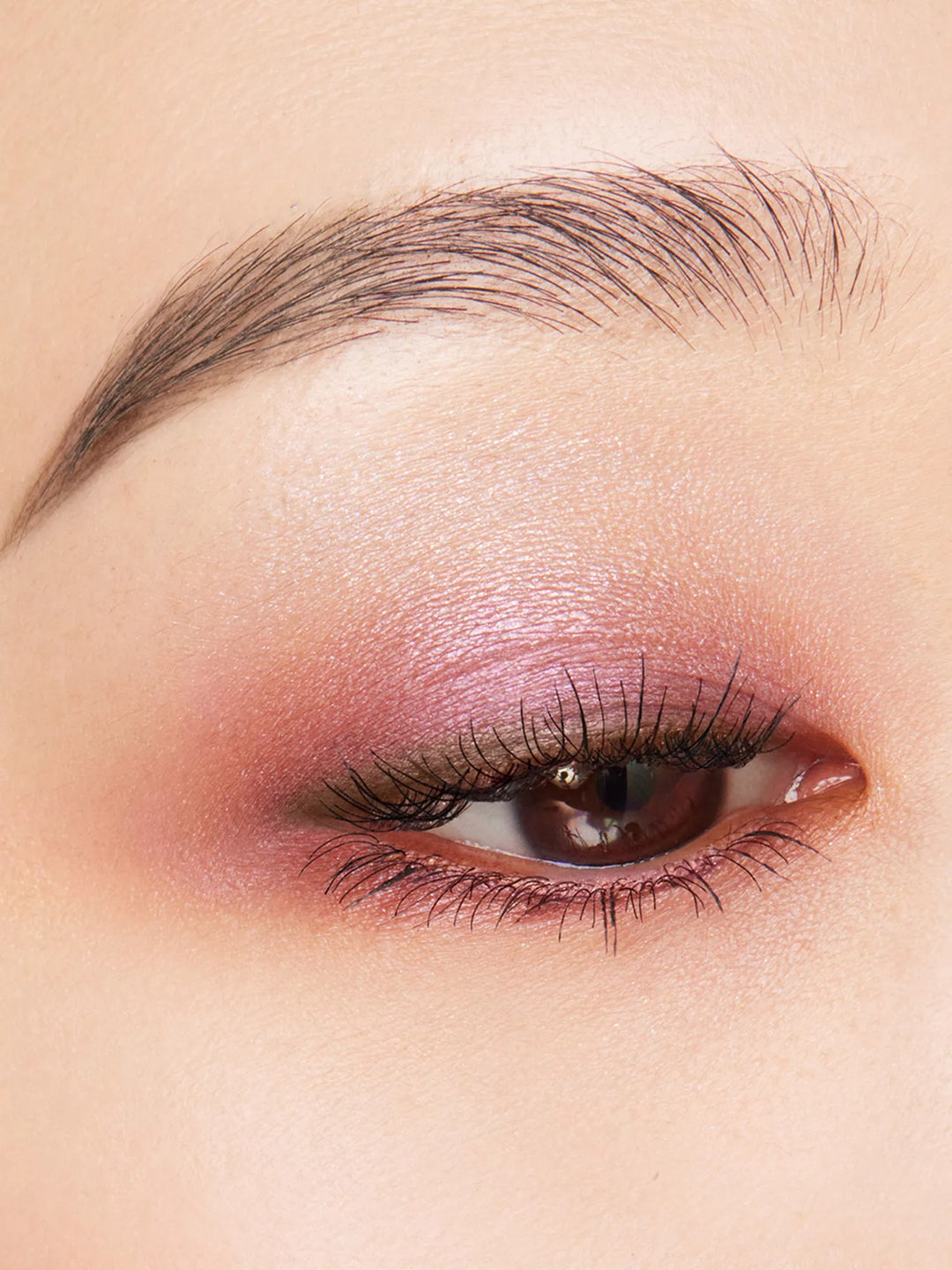 Signature Colour Eyes Eyeshadow Palette 6.2g - GLAM MODA