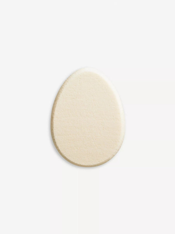 Foundation Sponge