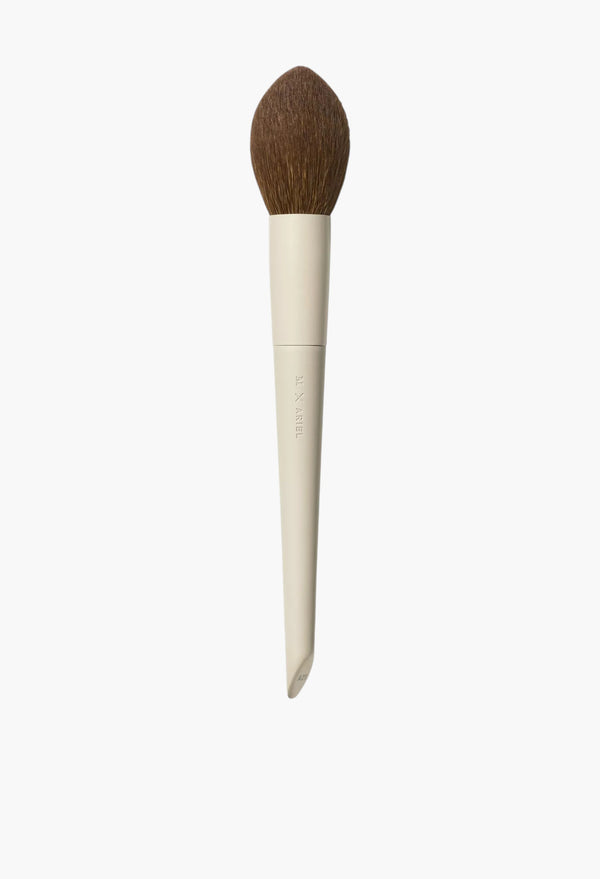 Morphe x Ariel Signature Look 12-piece face and eye brush set