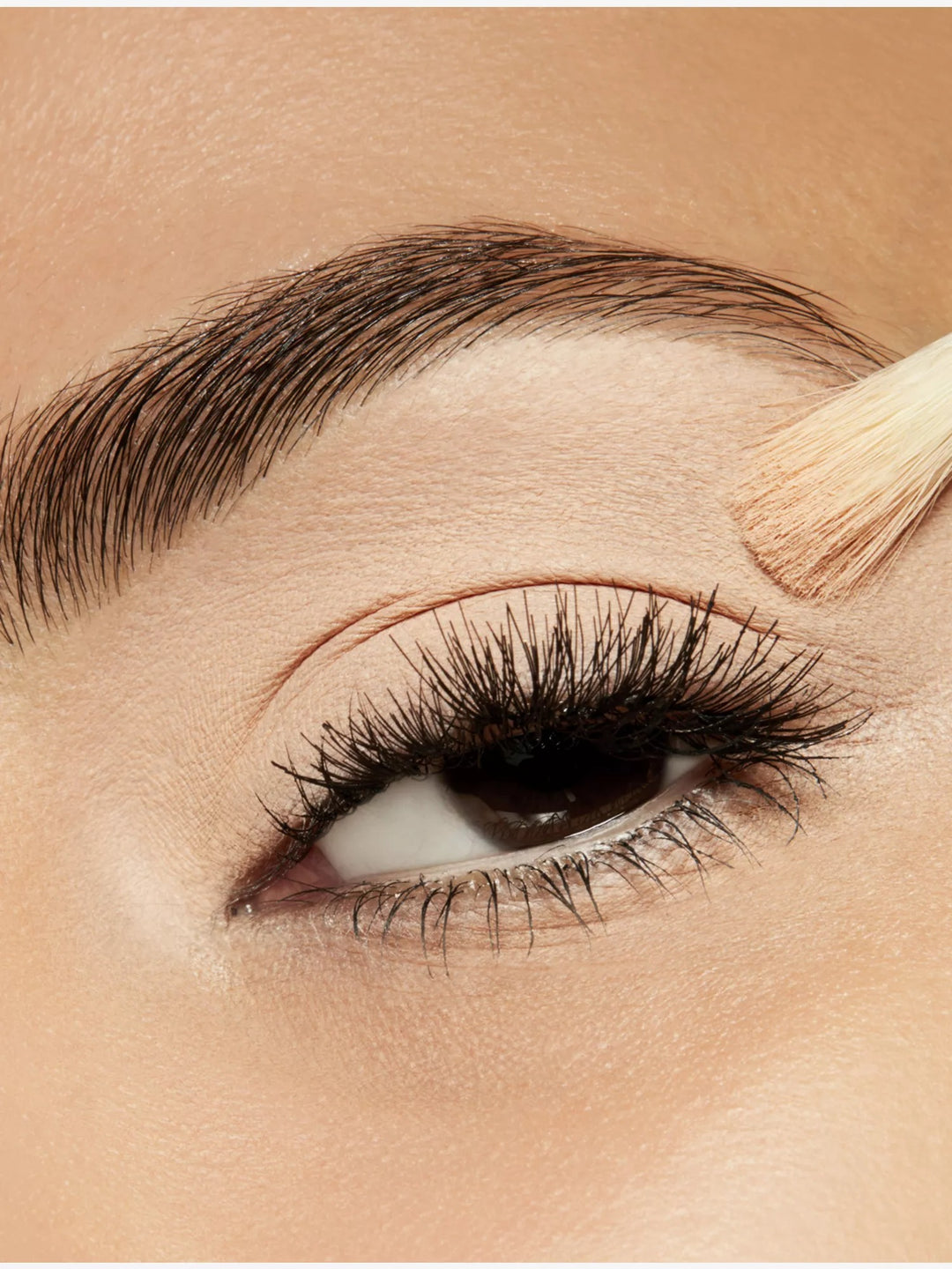 Pro Palette Eyeshadow Pan 1.5g - GLAM MODA