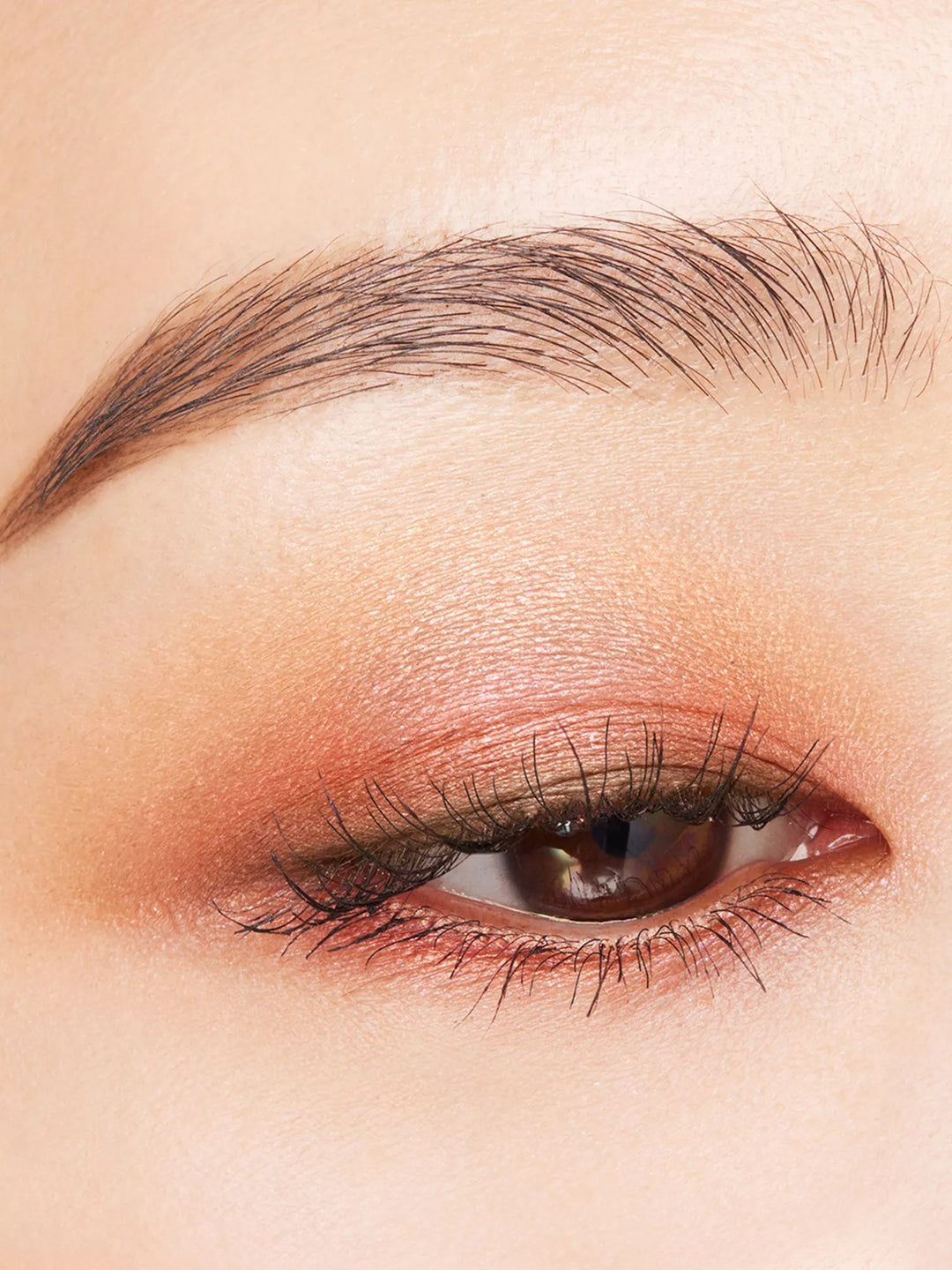 Signature Colour Eyes Eyeshadow Palette 6.2g - GLAM MODA