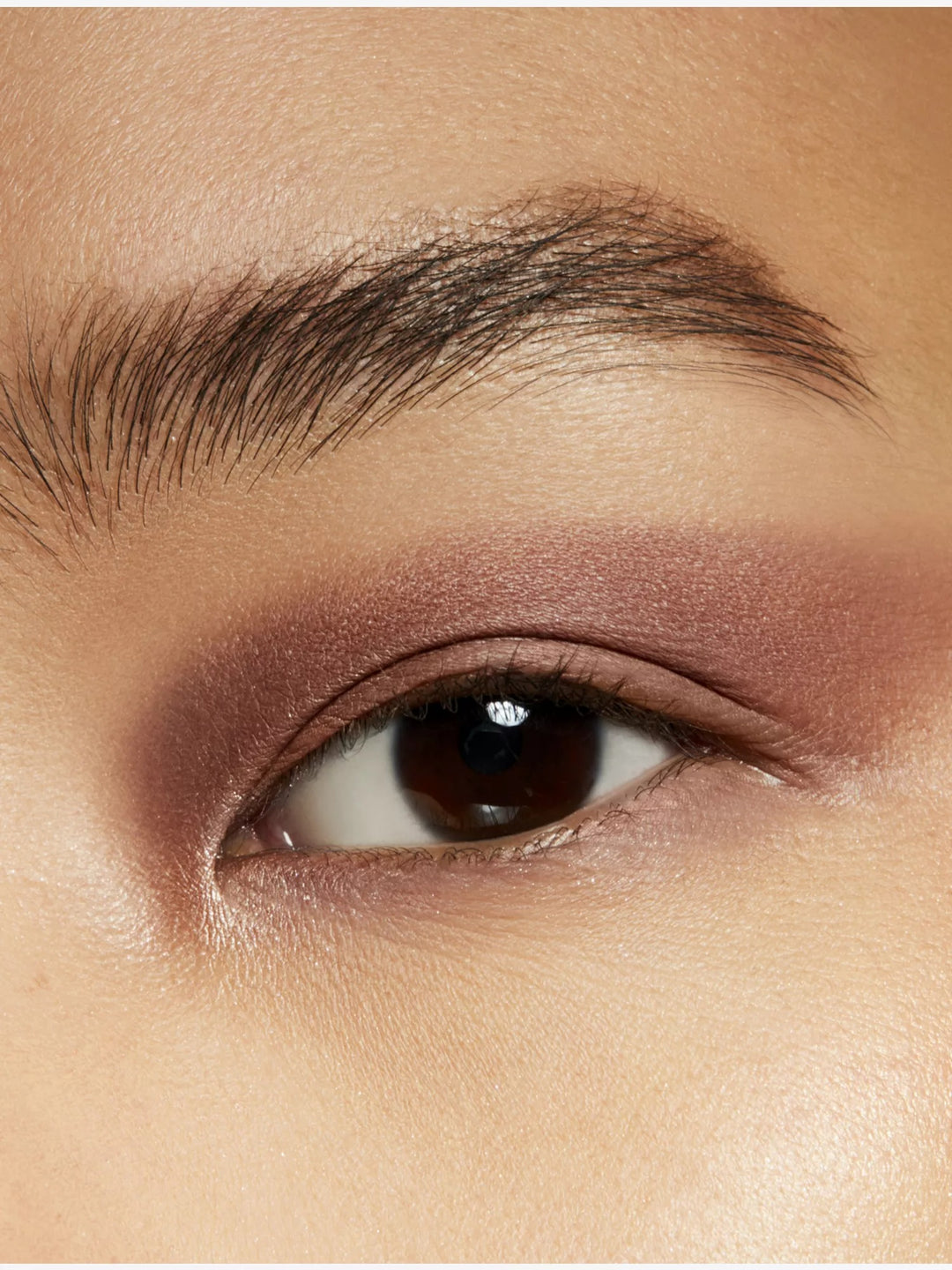 Pro Palette Eyeshadow Pan 1.5g - GLAM MODA