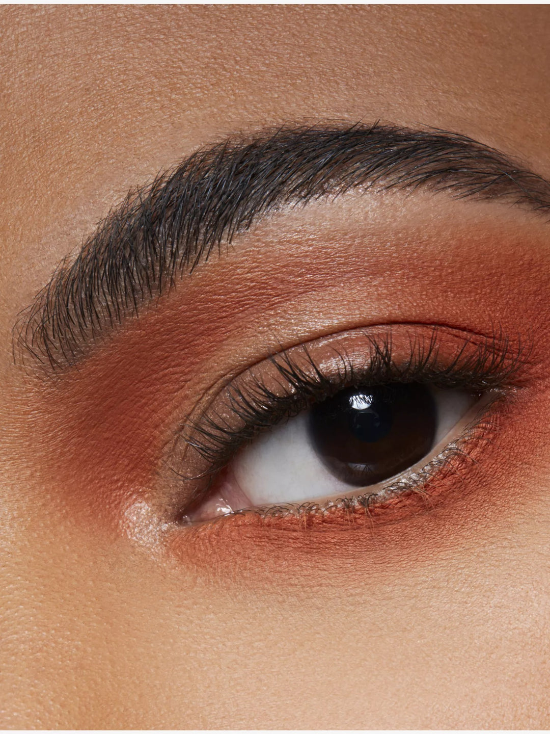 Pro Palette Eyeshadow Pan 1.5g - GLAM MODA