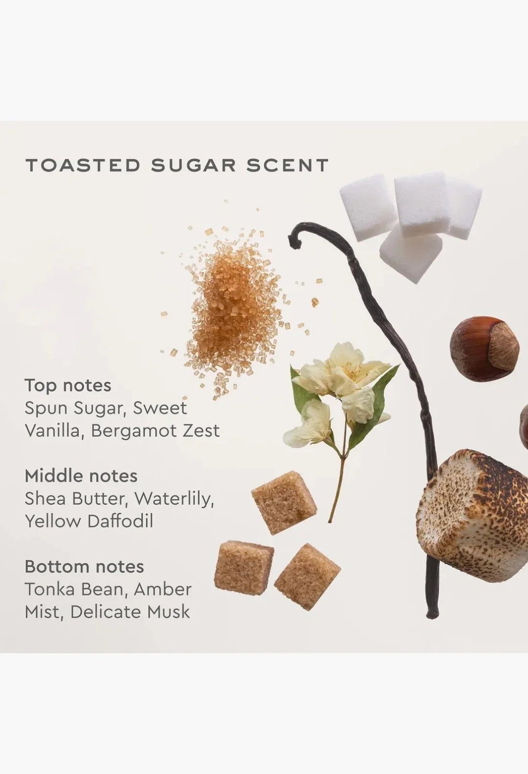 Dream Crème Hydrating Hair Mask in Toasted Sugar packaging detail