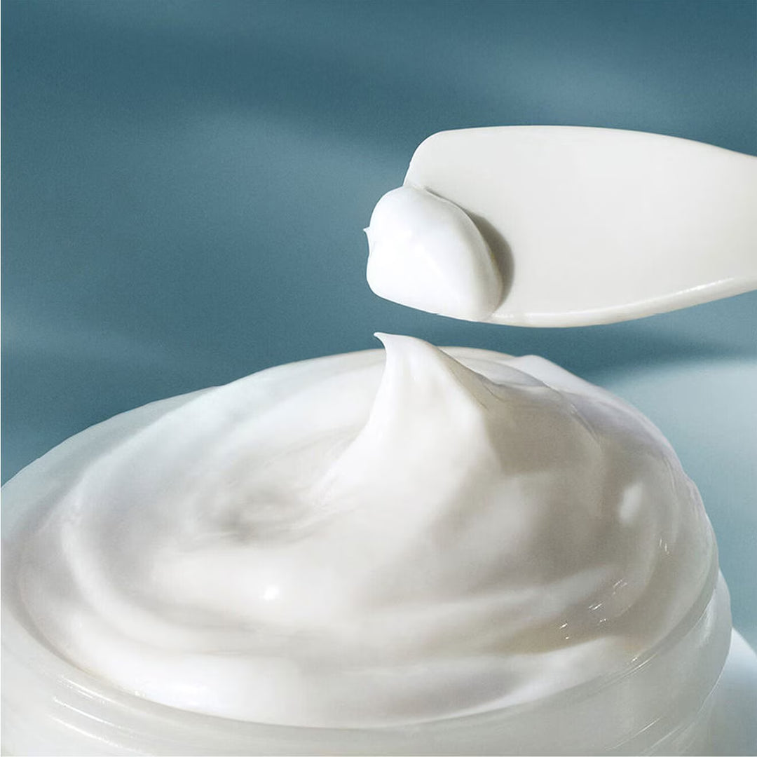 The Day & Night Duet - GLAM MODA