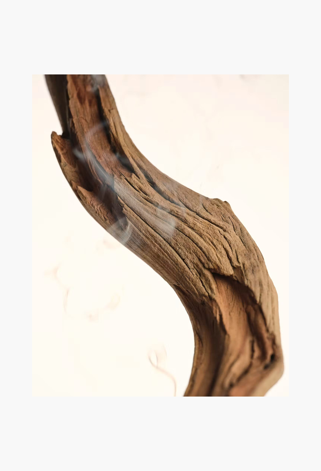 GLAM MODA Glossier You Doux woody fragrance represented by a textured piece of Palo Santo wood with wisps of smoke
