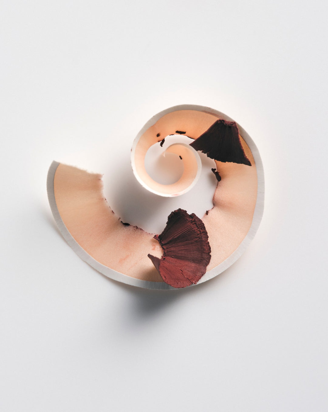Glossier Lip Line