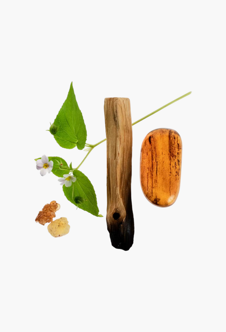 GLAM MODA Glossier You Doux fragrance ingredients including sweet violet, palo santo wood, frankincense, and myrrh.