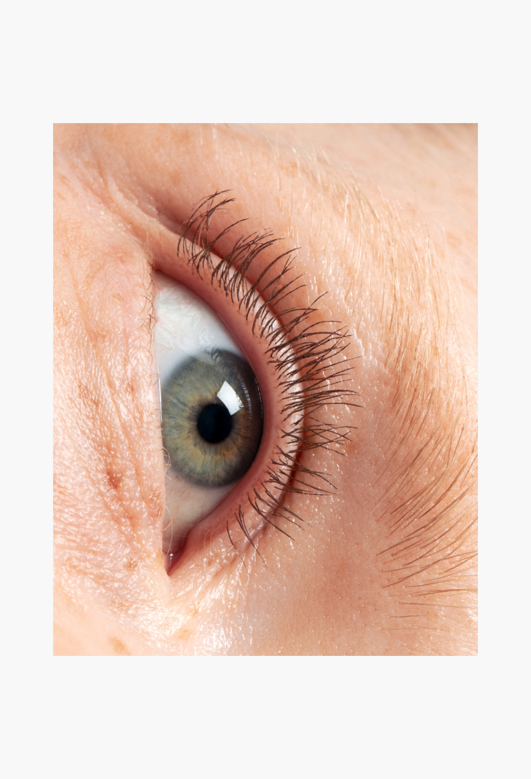 Glossier Lash Slick Duo