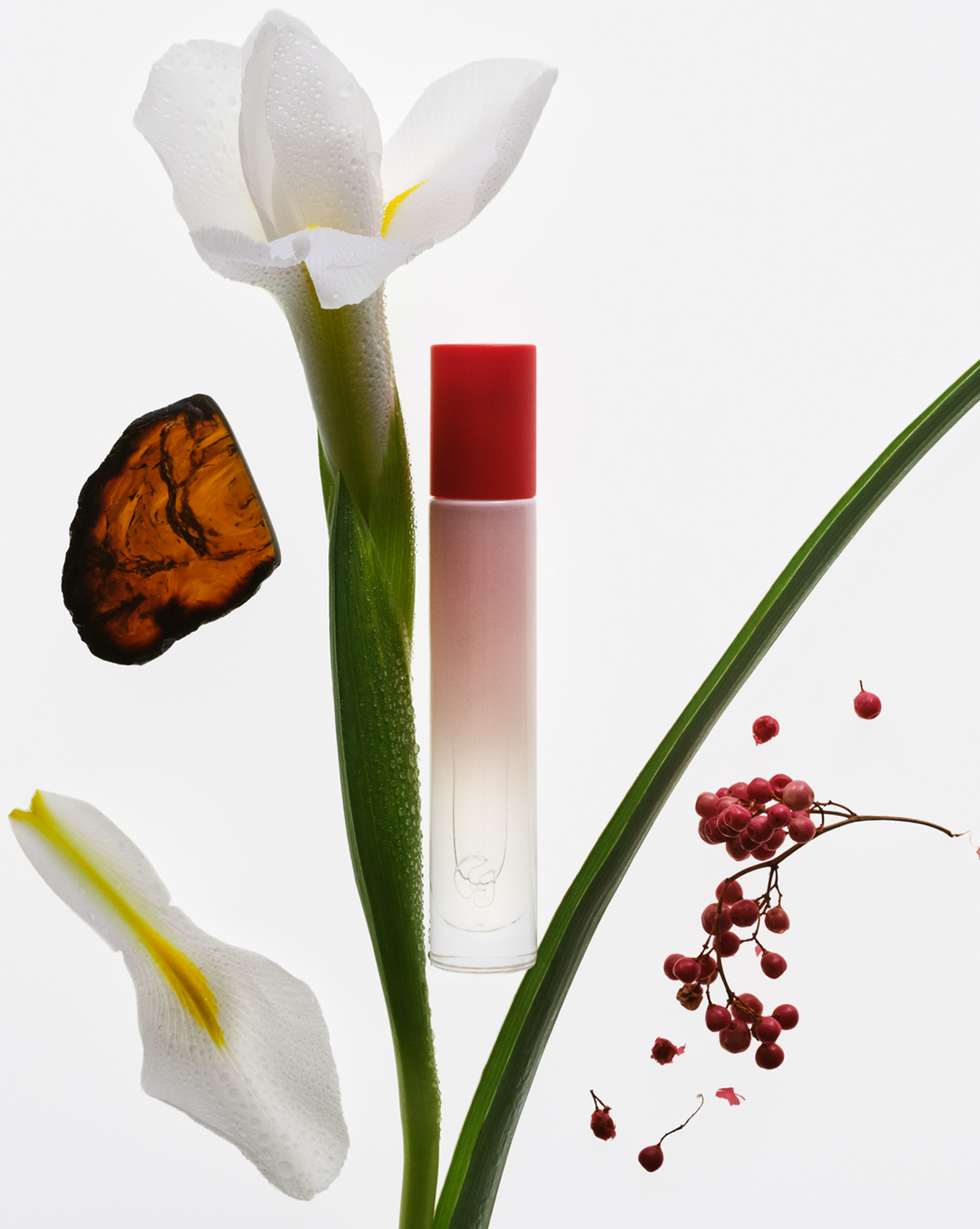 Glossier The Glossier Icons