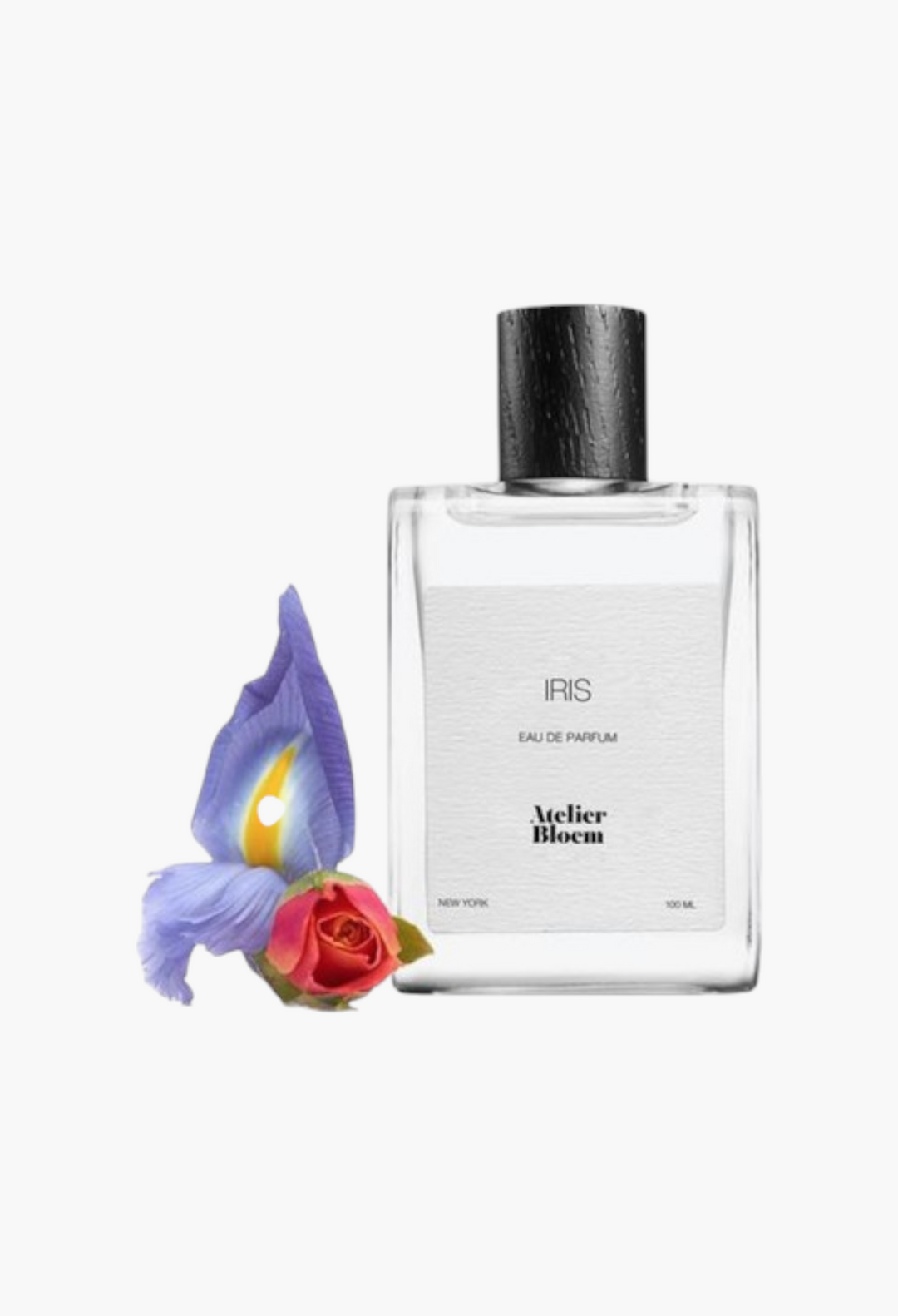 Iris Cologne - GLAM MODA