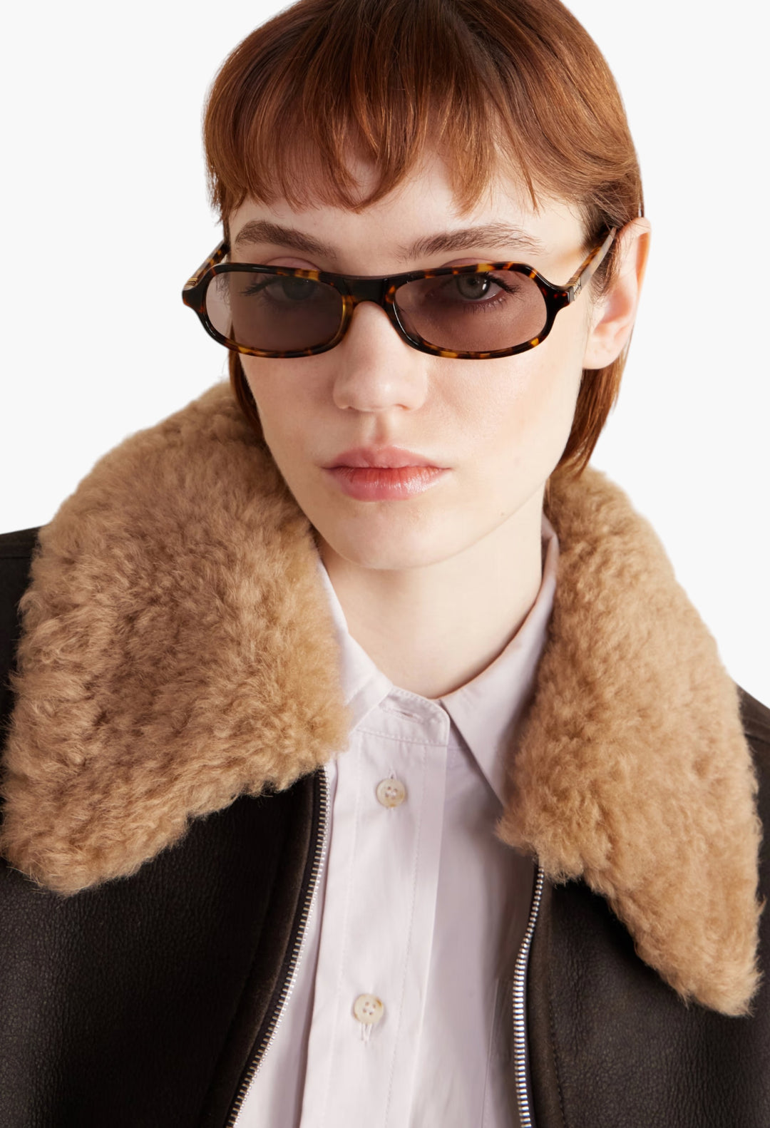 Round-Frame Acetate Sunglasses - GLAM MODA