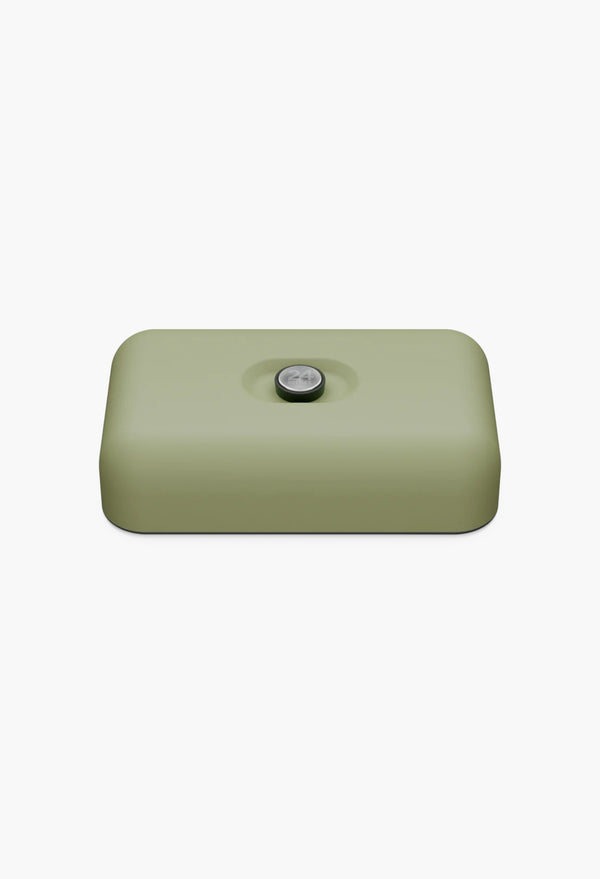 Lunch Box Sage
