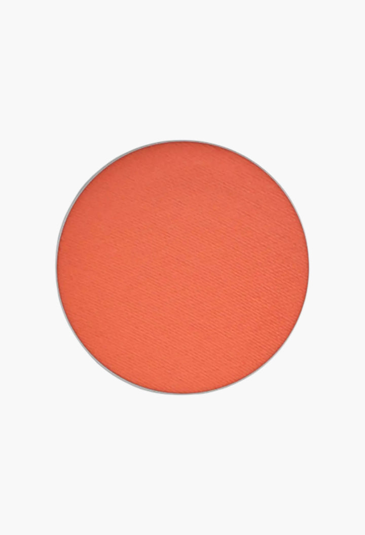 Pro Palette Eyeshadow Pan 1.5g - GLAM MODA