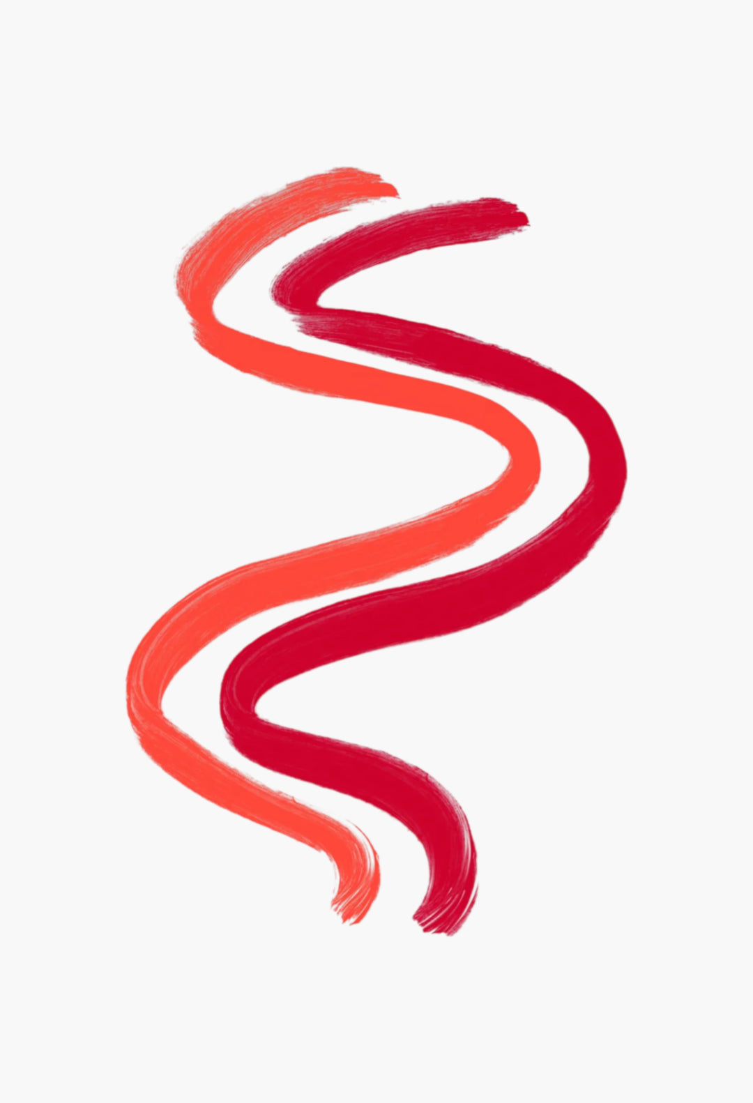 Sculptitude - GLAM MODA