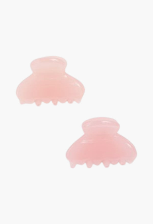 Dusty Rose - Pack Of Claw Clips