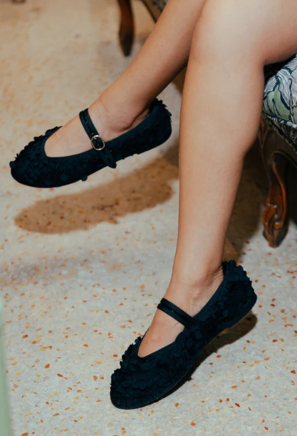 Pierre Lace Black