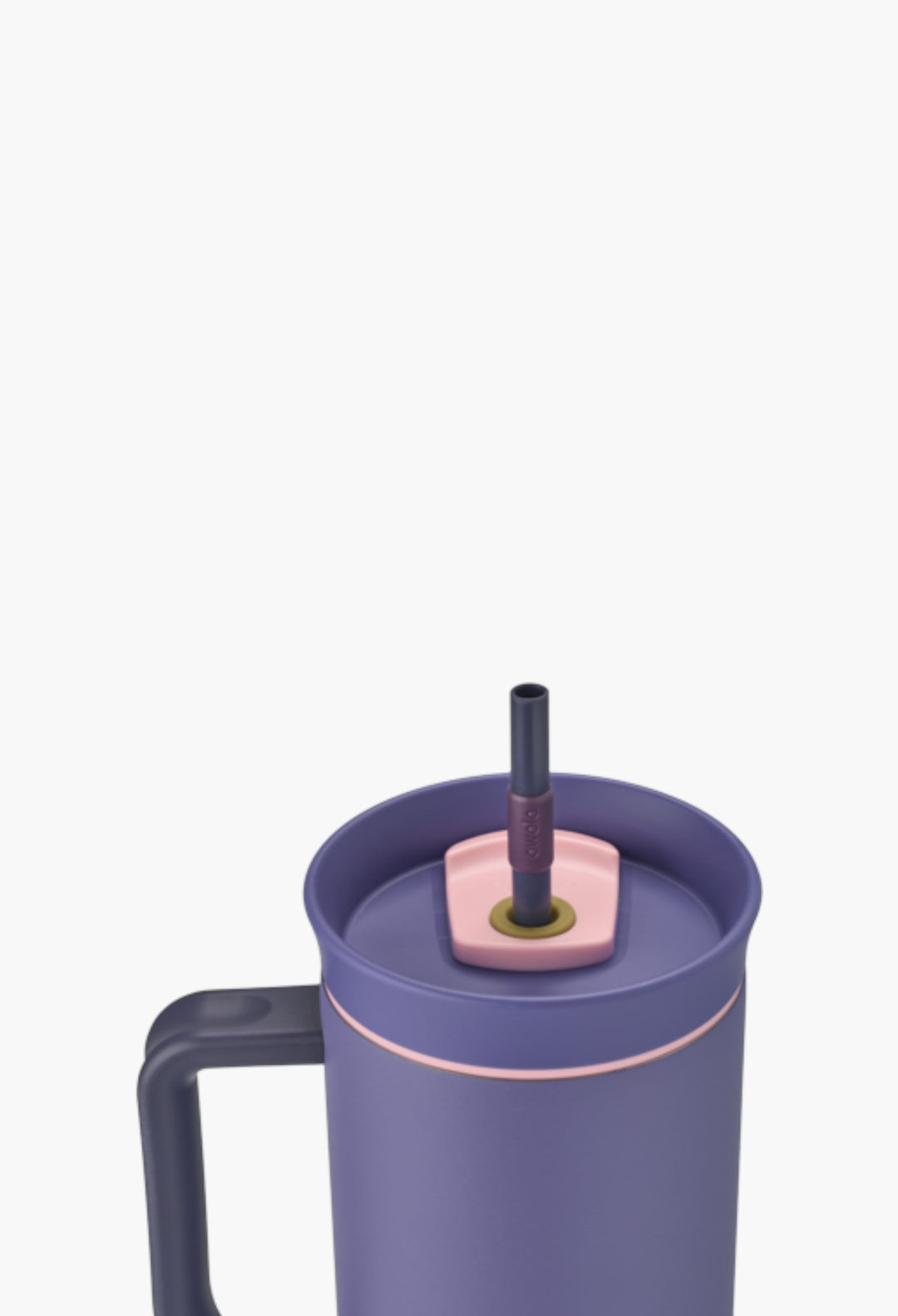 Blue Jay - Tumbler - GLAM MODA