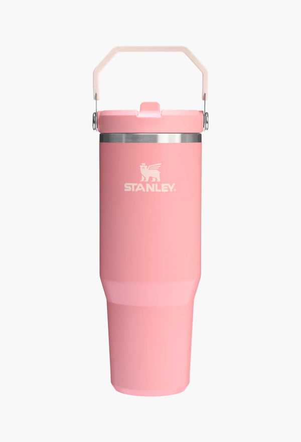 Pink Mesa - The IceFlow™ Flip Straw Tumbler | 30 OZ