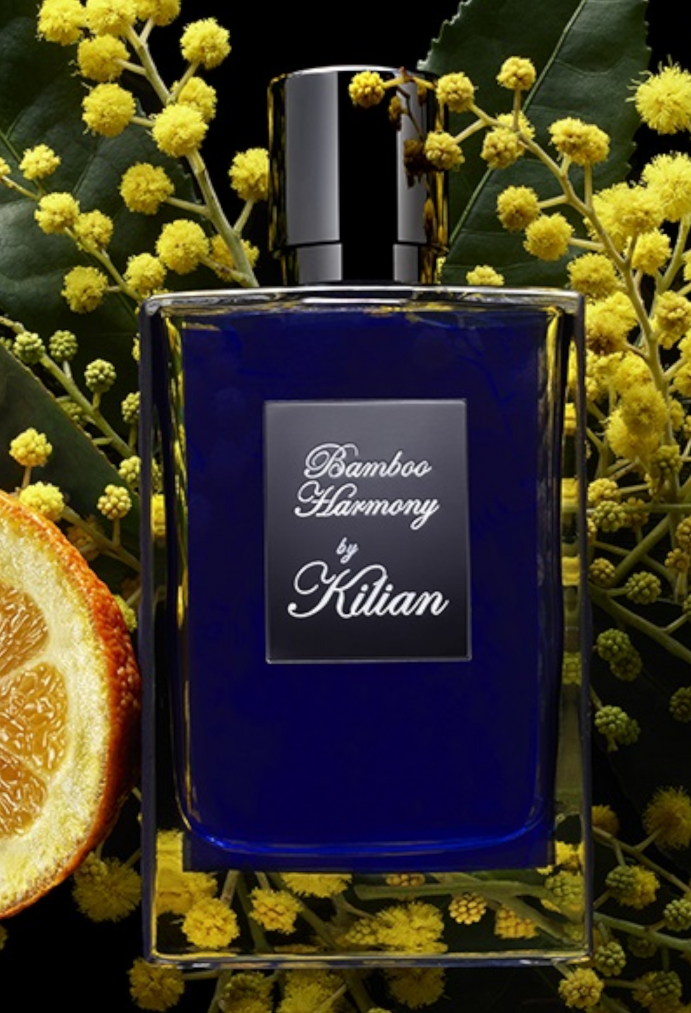 Bamboo Harmony Perfume - GLAM MODA