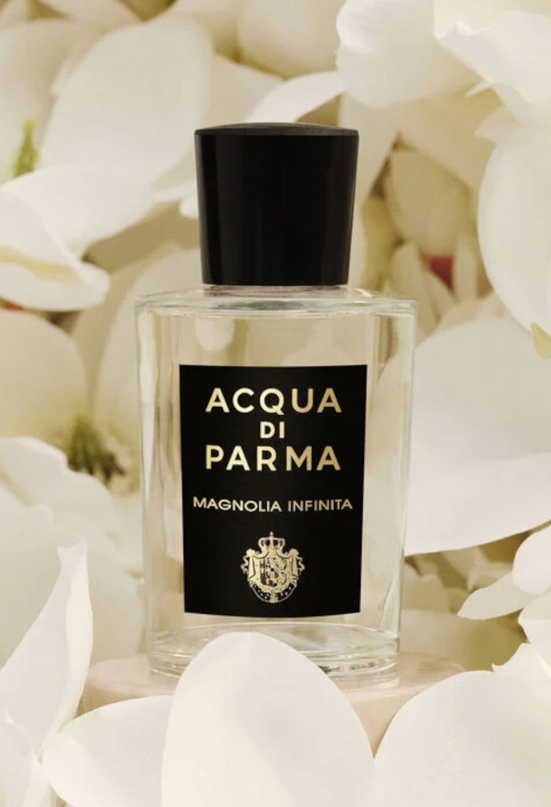 Magnolia Infinita - Eau De Parfum - GLAM MODA