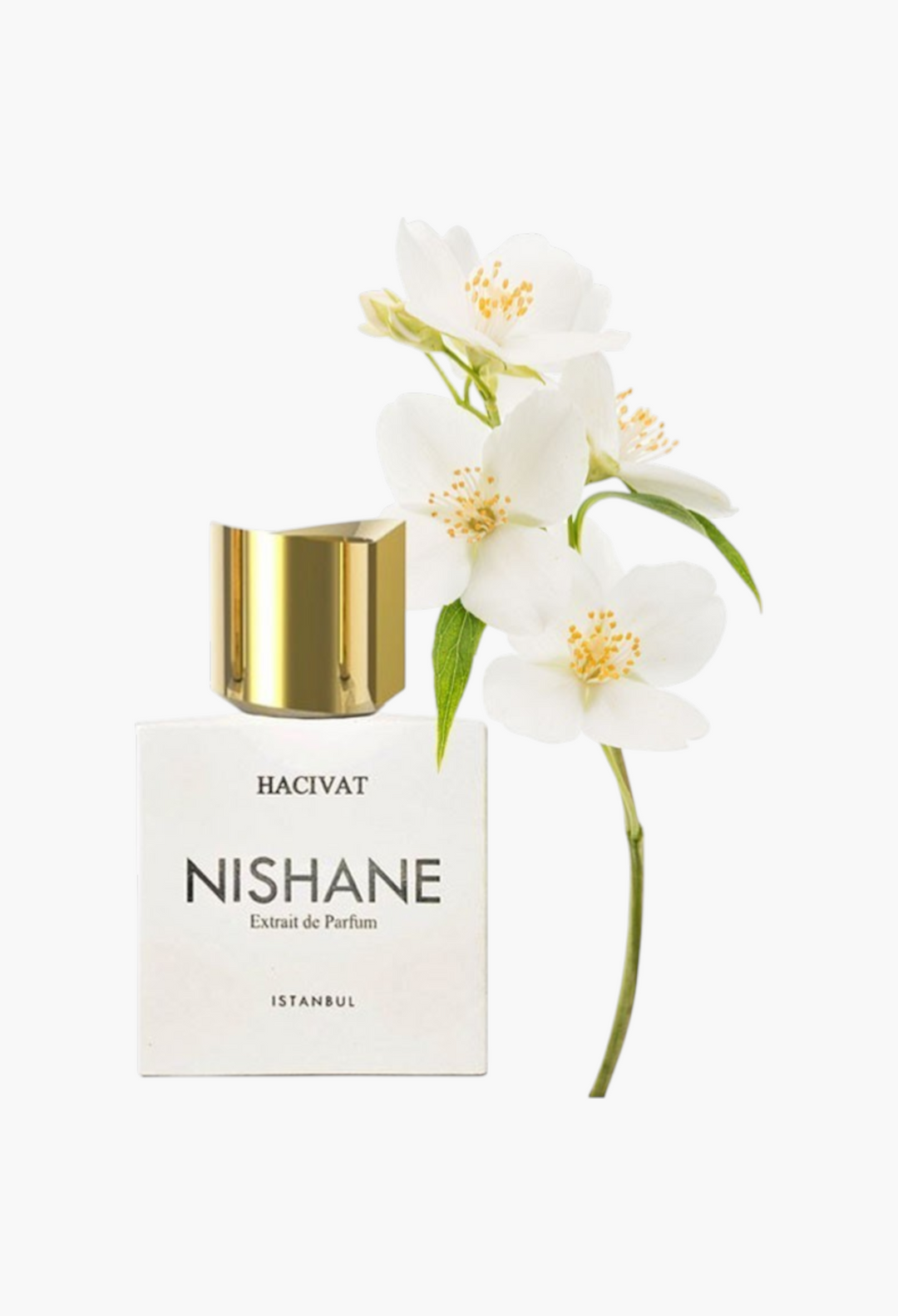 Hacivat Perfume - GLAM MODA