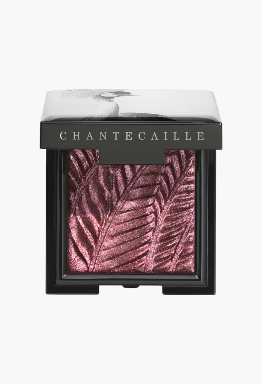 Luminescent Eye Shades - GLAM MODA
