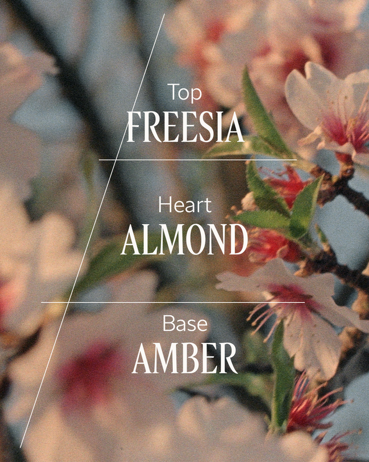 Almond (Amande) Delightful Hair & Body Mist - GLAM MODA