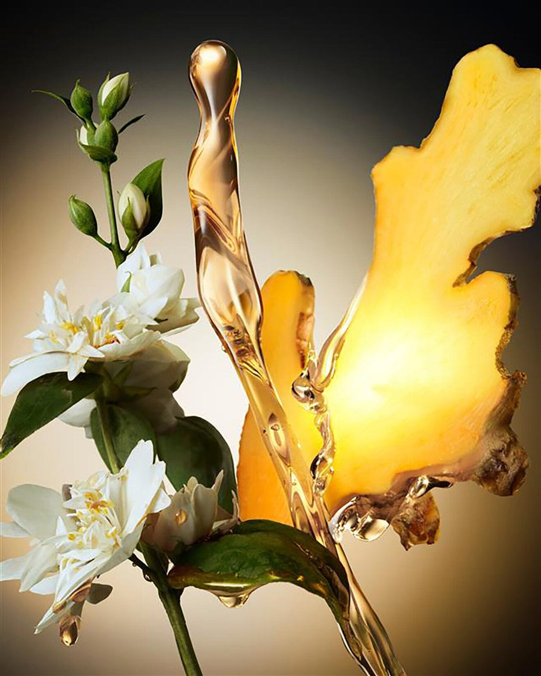 The Scent - Eau de Parfum - GLAM MODA