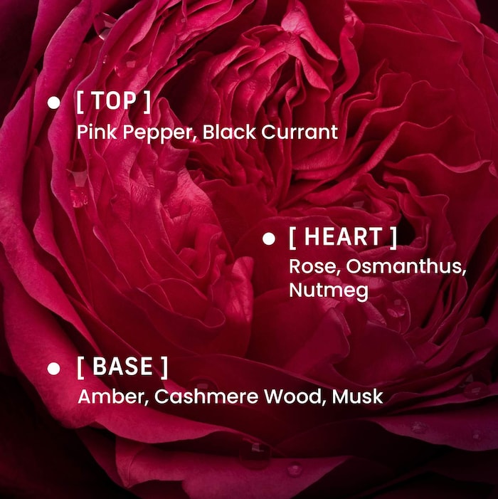 Rose Whip Eau de Parfum With Musk