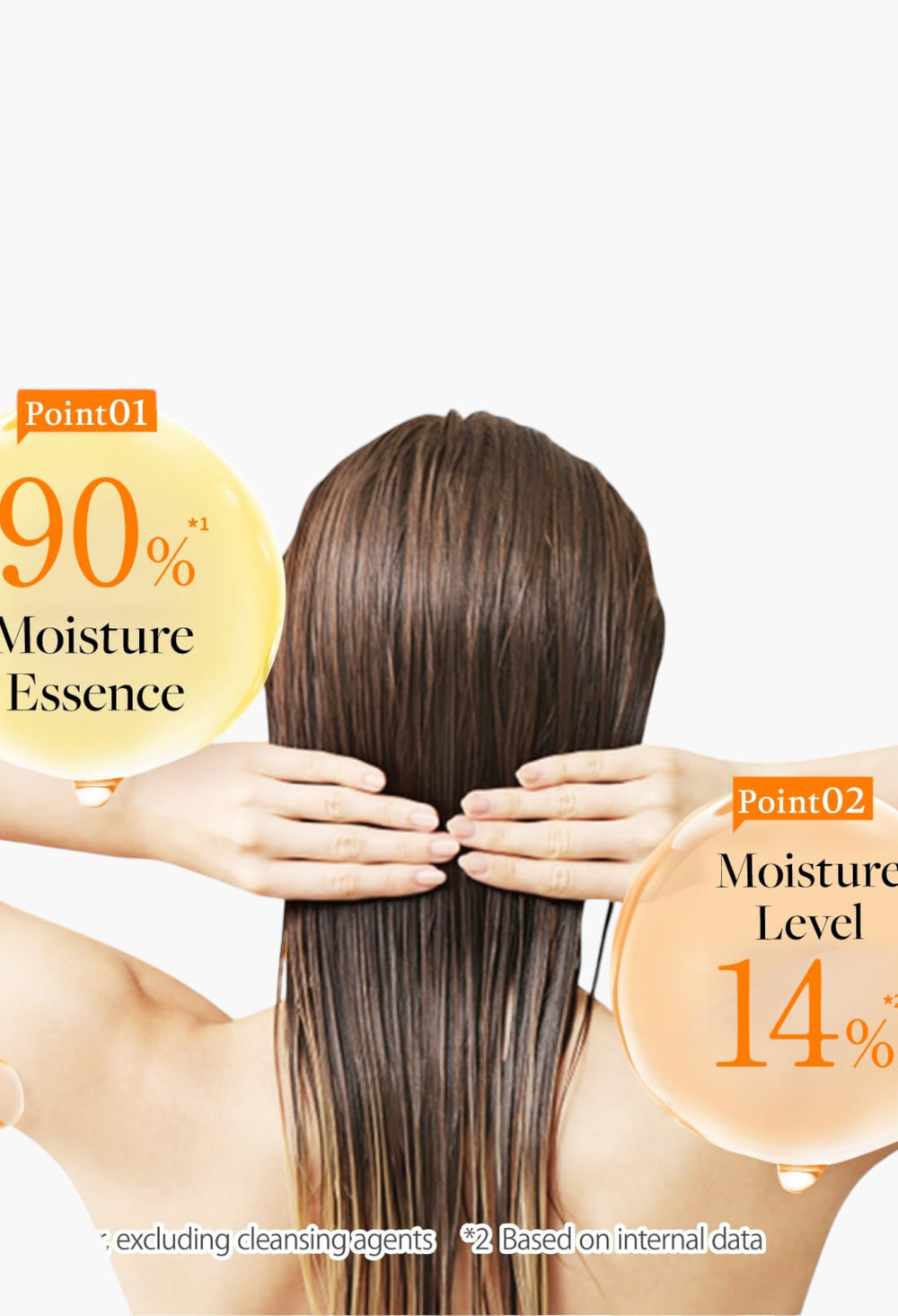 &honey Melty Moist Repair Shampoo 1.0 - GLAM MODA