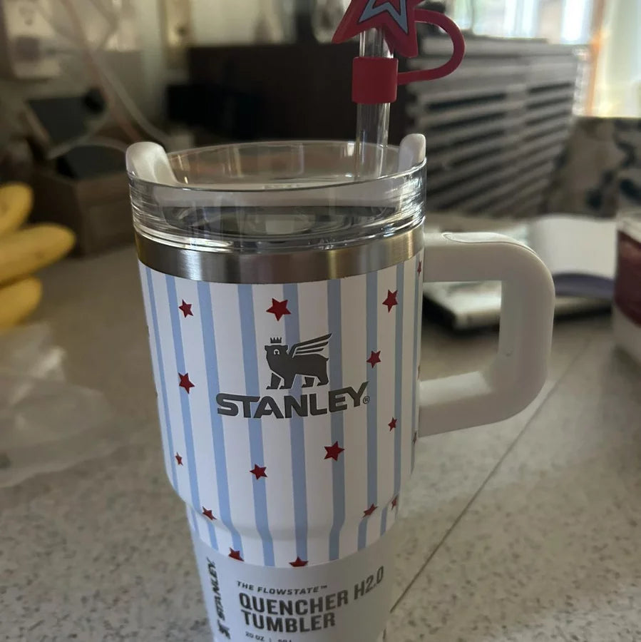 Stanley 20 oz Stainless Steel H2.0 FlowState Quencher Tumbler