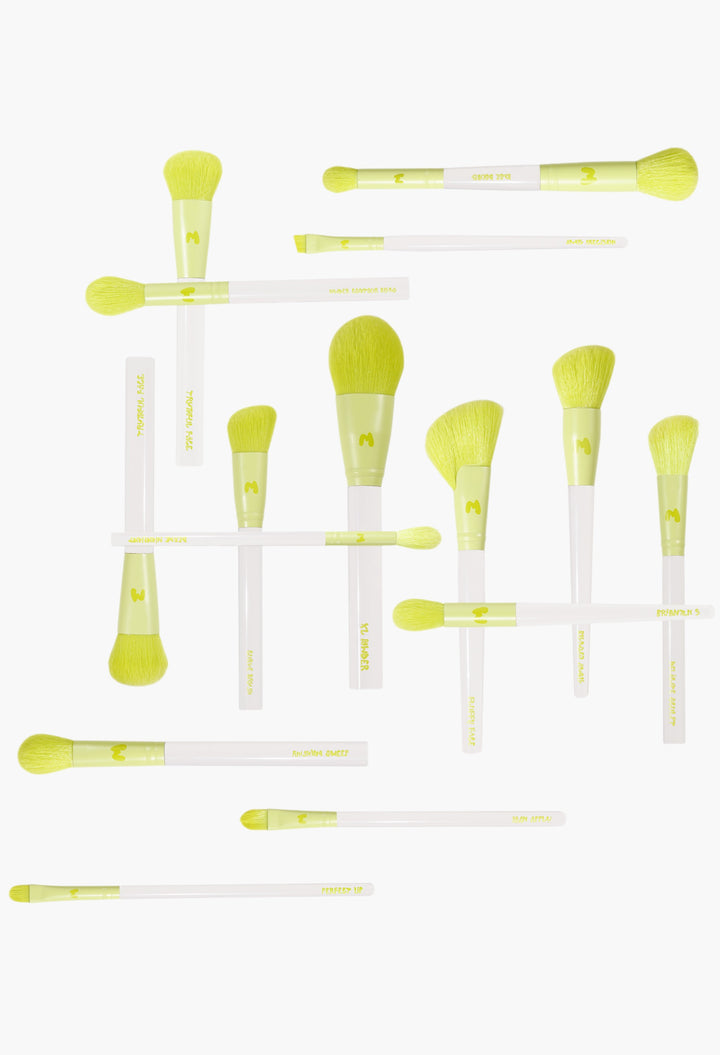 Pro Face & Eye Brush Collection
